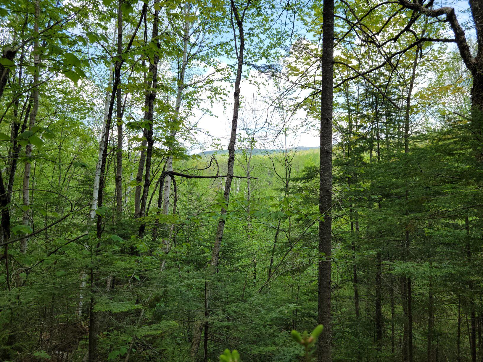 0 Easter Hill Road Roxbury, ME 04275 - Photo 3 of 56 lot view 2