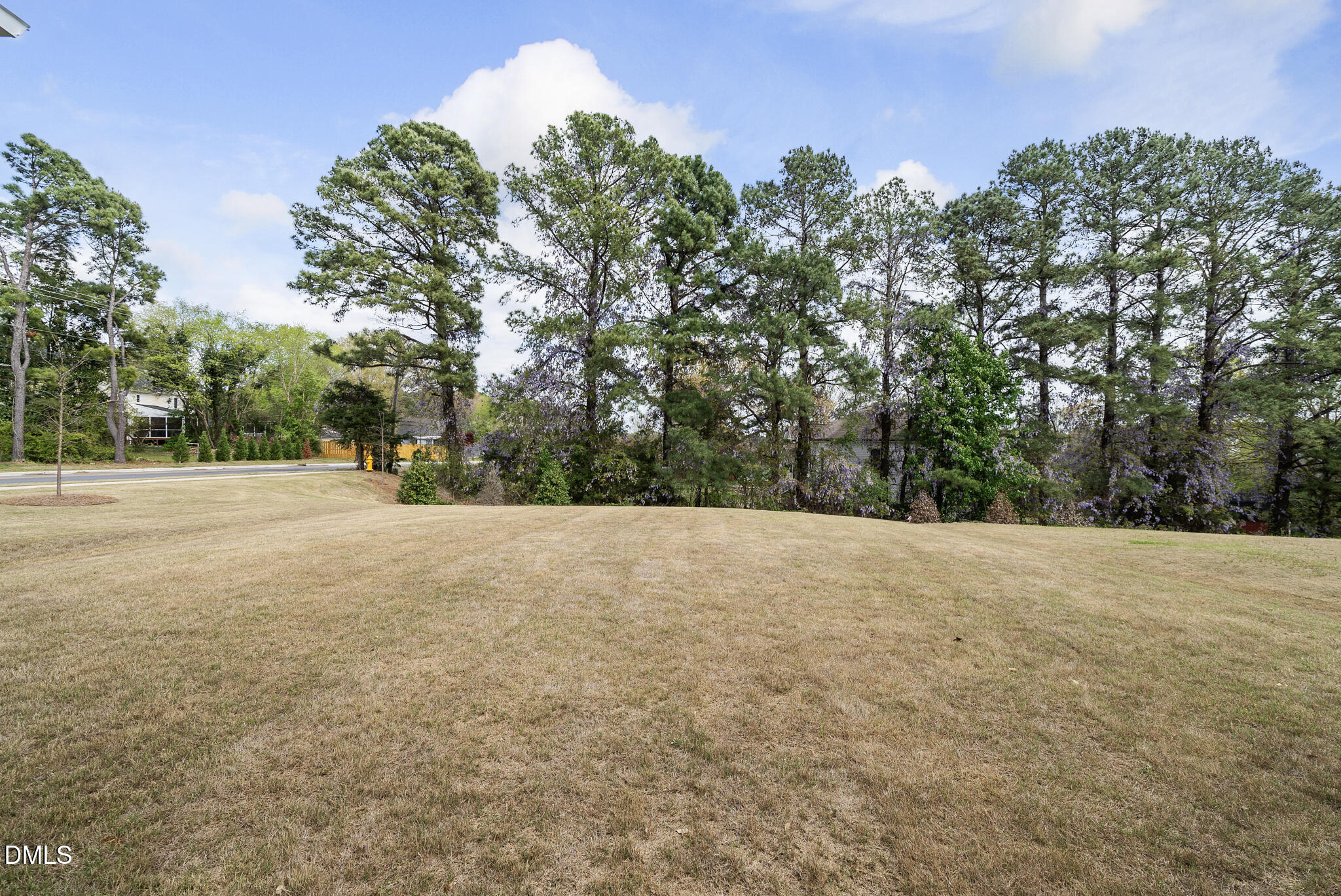 3836 Mason Blf Drive Raleigh, NC 27616 - Photo 33 of 37 a view of dirt field with trees in the background