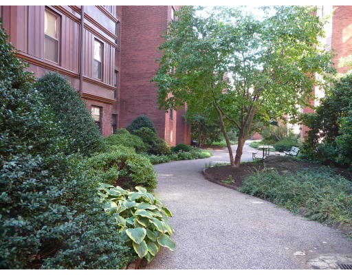 7 Lakeville Road, Unit 2 Boston, MA 02130 - Photo 21 of 22 Gallery Image 21