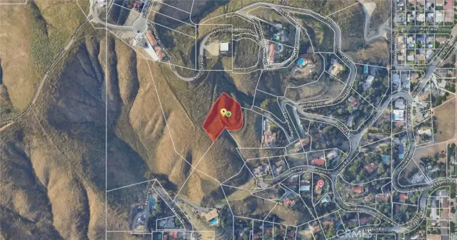 a close up of a tree