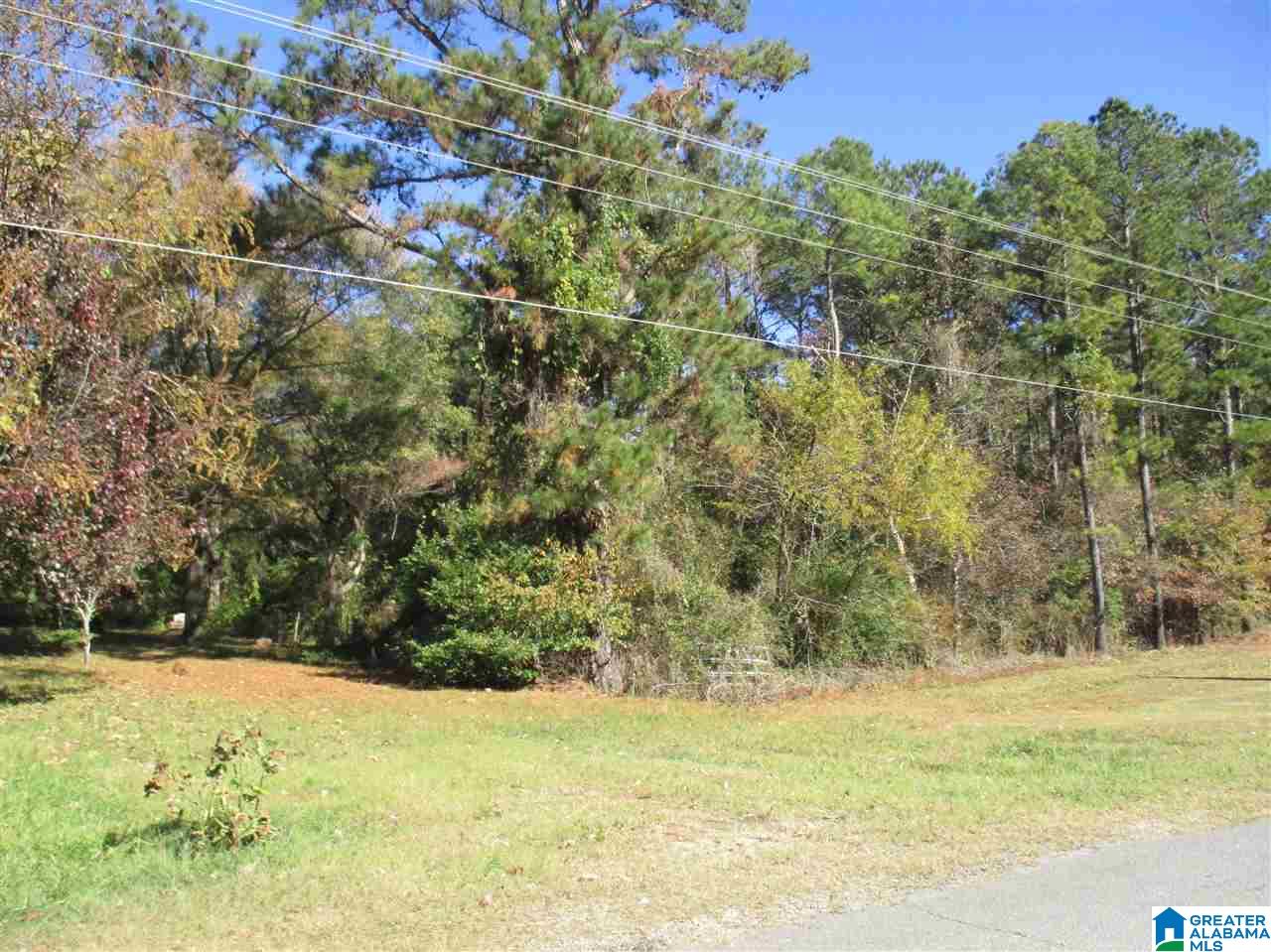 0 Poplar Springs Road, Unit 1 Clanton, AL 35045 - Photo 4 of 4