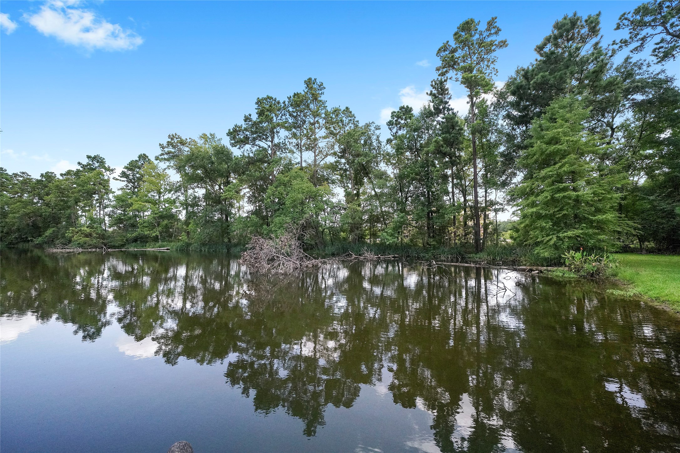 18121 Atkinson Lane Conroe, TX 77384 - Photo 8 of 29