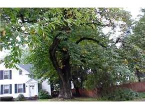 19 Ash Street Exeter, NH 03833 - Photo 2 of 9