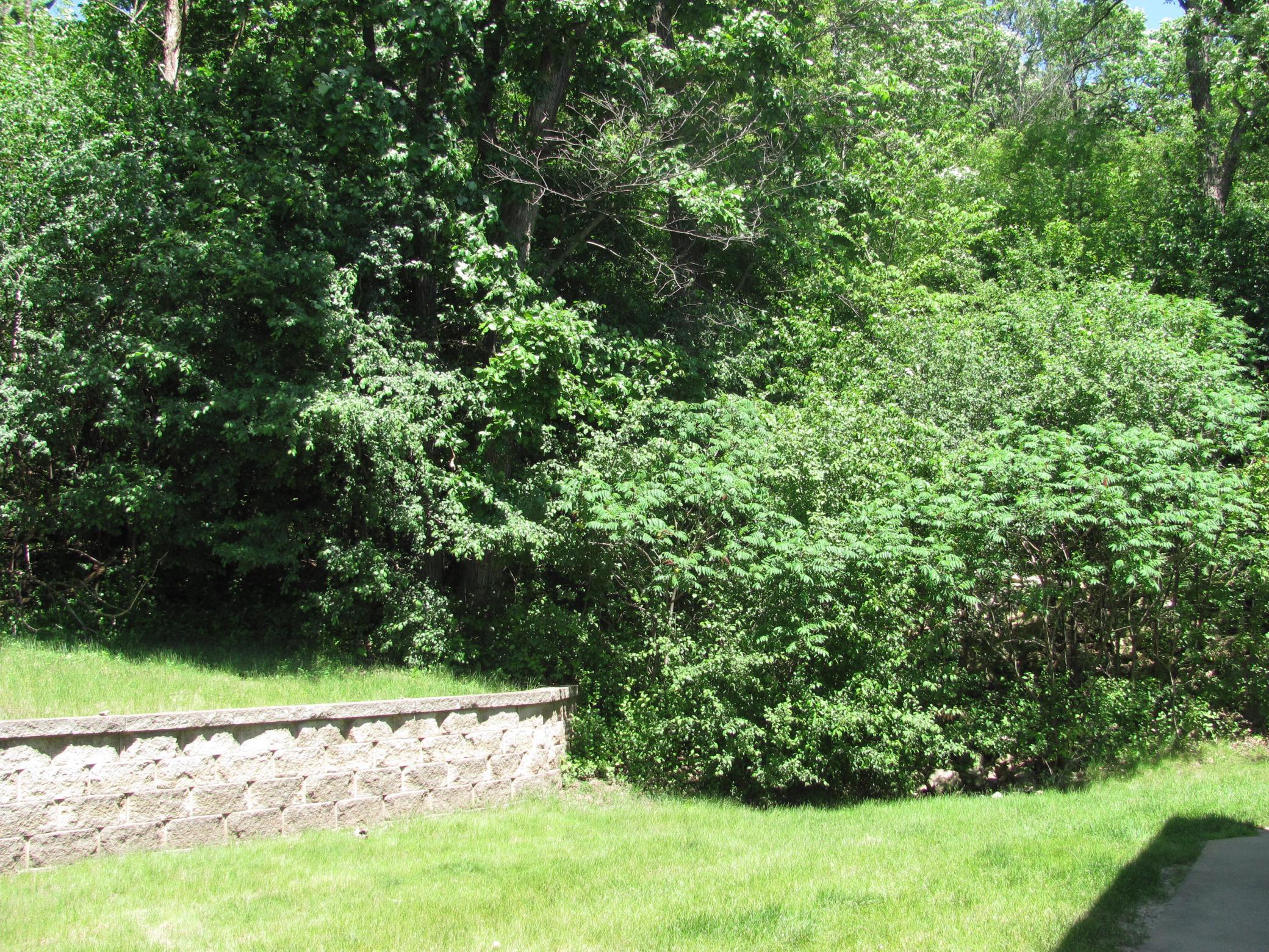 1913 Deerhaven Lane Northeast, Unit 24 Rochester, MN 55906 - Photo 4 of 17 Gallery Image 4