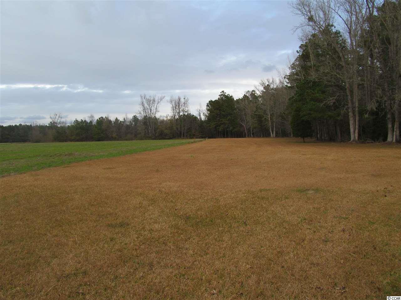 1228 County Rd S-45-319 Hemingway, SC 29554 - Photo 25 of 29