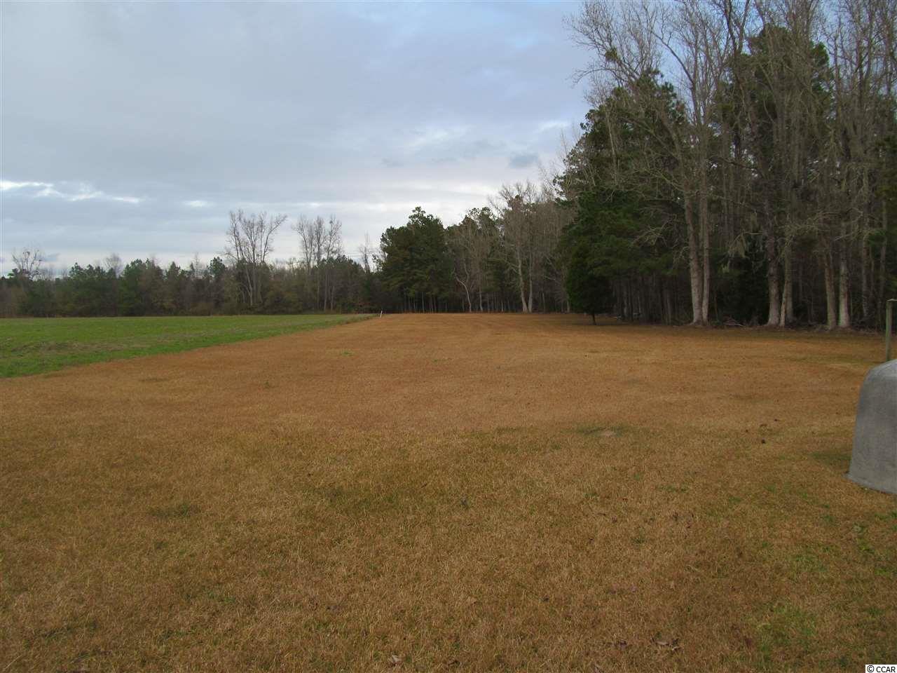 1228 County Rd S-45-319 Hemingway, SC 29554 - Photo 26 of 29
