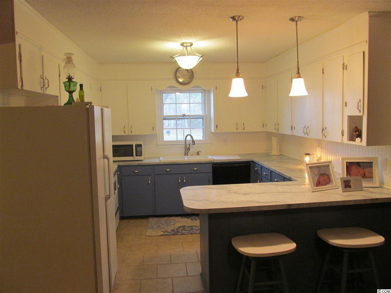1228 County Rd S-45-319 Hemingway, SC 29554 - Photo 4 of 29