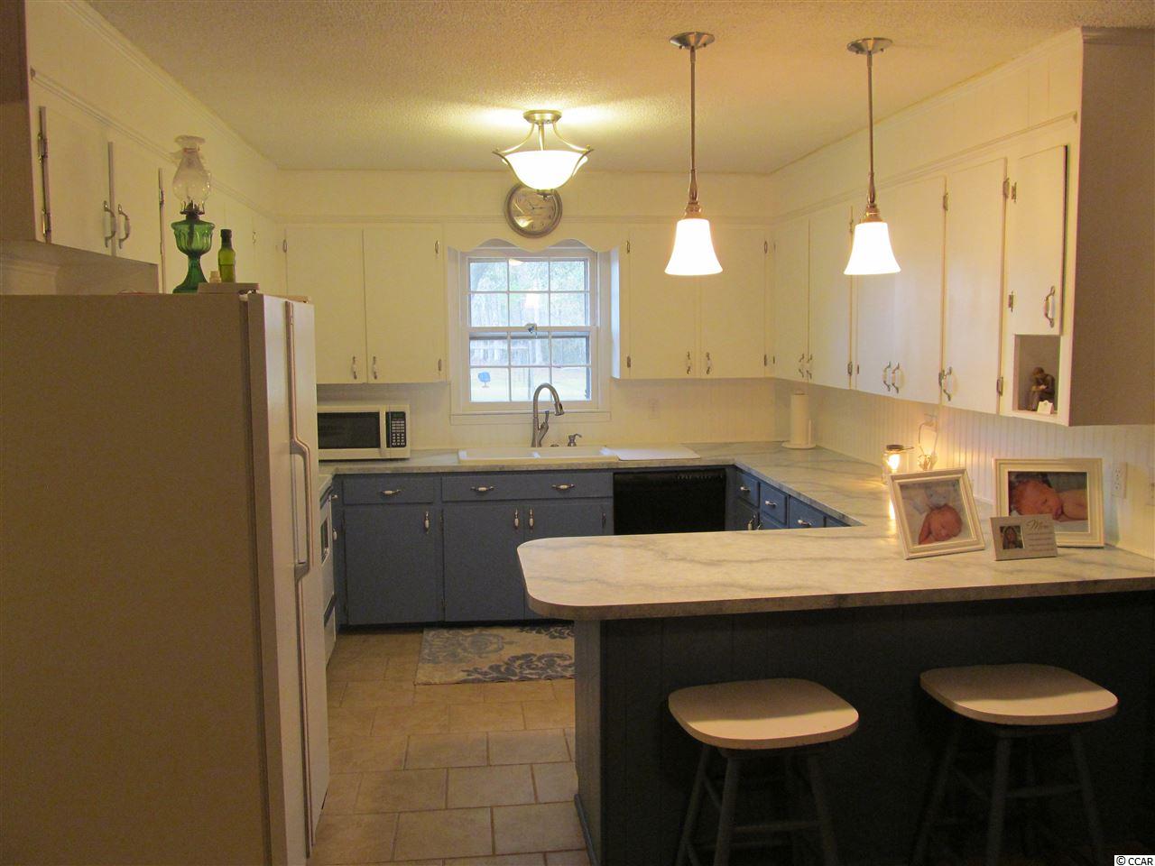 1228 County Rd S-45-319 Hemingway, SC 29554 - Photo 5 of 29