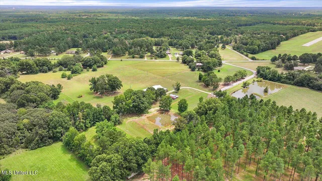 $675,000 | 120 Anse Reed Road, Magee, MS 39111