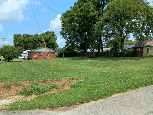 a front view of a house with backyard and trees