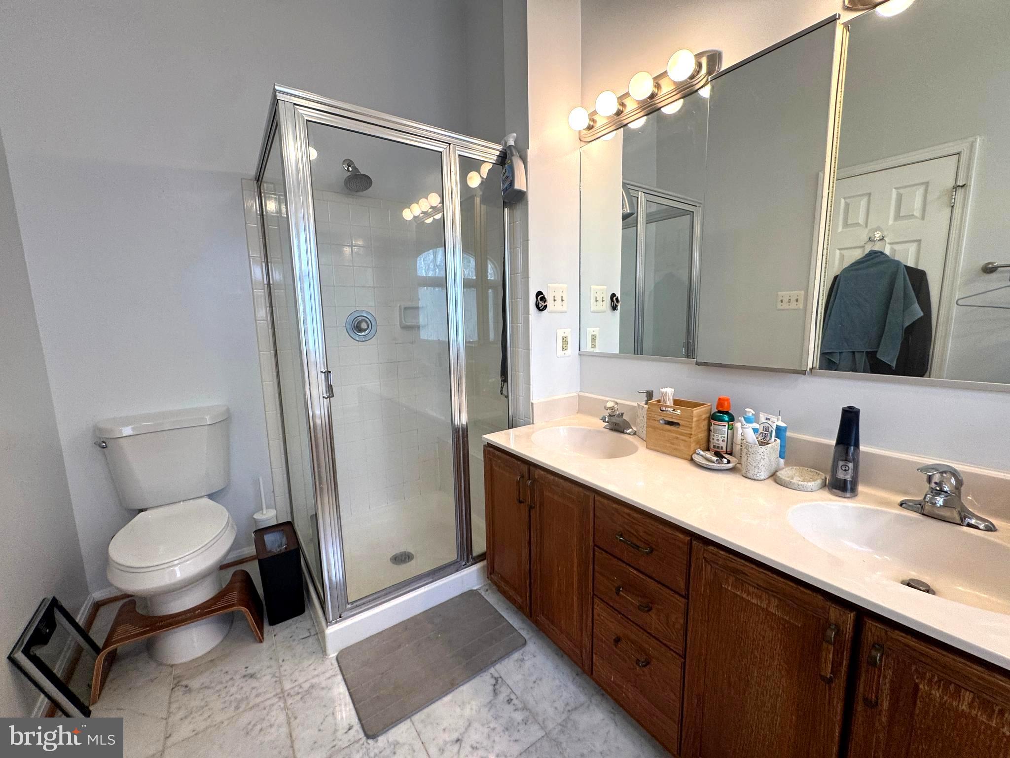 8732 Stone Hill Place Springfield, VA 22153 - Photo 16 of 28 a bathroom with a sink a toilet and a mirror