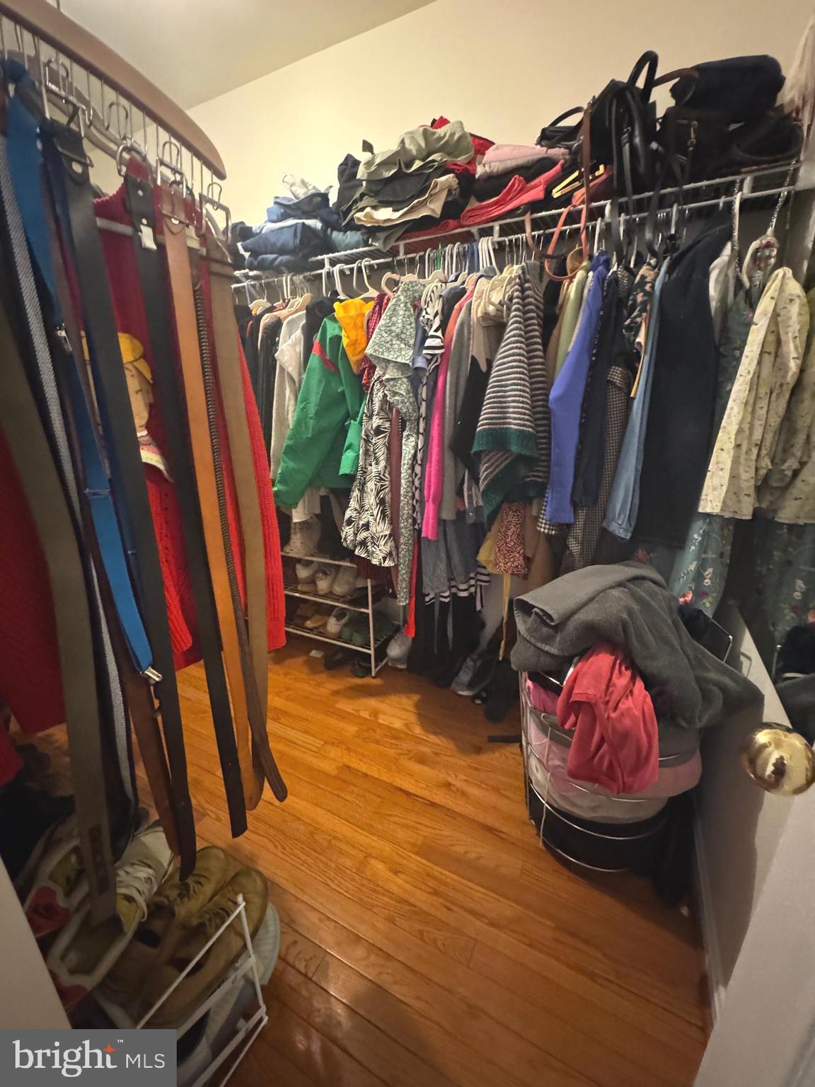 8732 Stone Hill Place Springfield, VA 22153 - Photo 18 of 28 a view of walk in closet with clothes and shoes