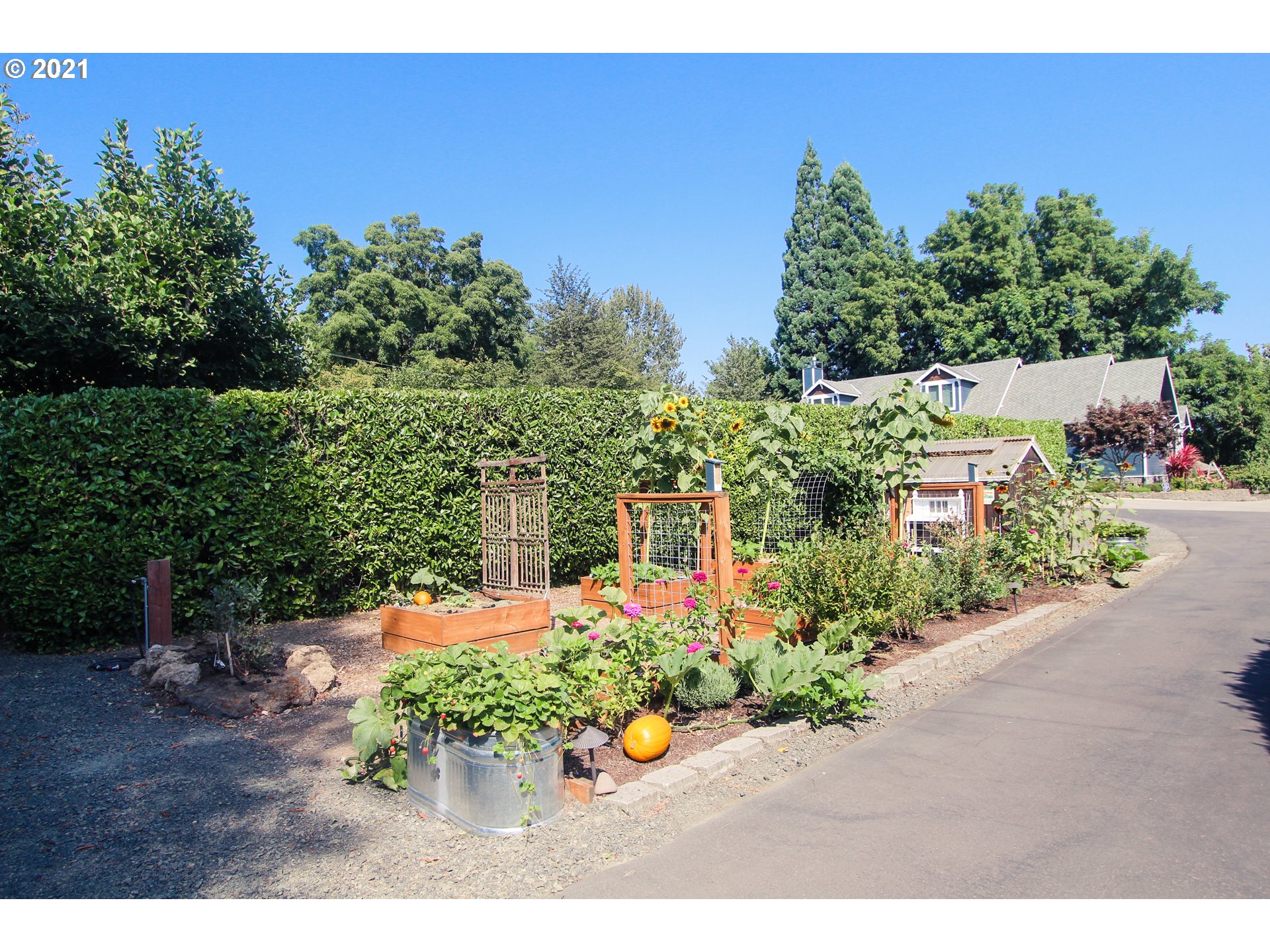555 River Loop 1 Eugene, OR 97404 - Photo 25 of 28 a picture of street view