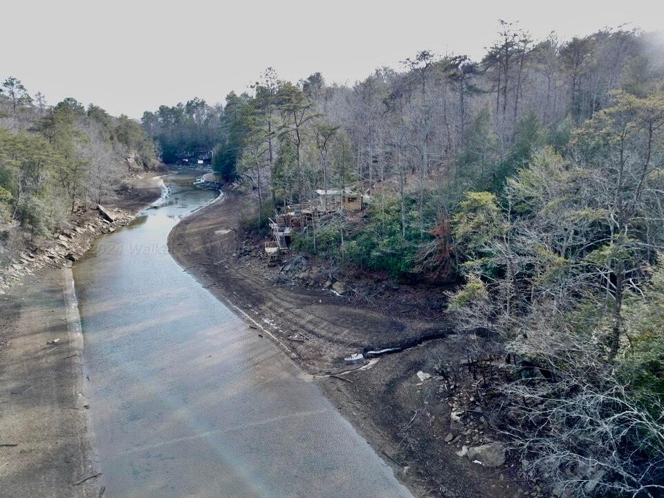 Jim Davis Road Arley, AL 35541 - Photo 5 of 23 Gallery Image 5