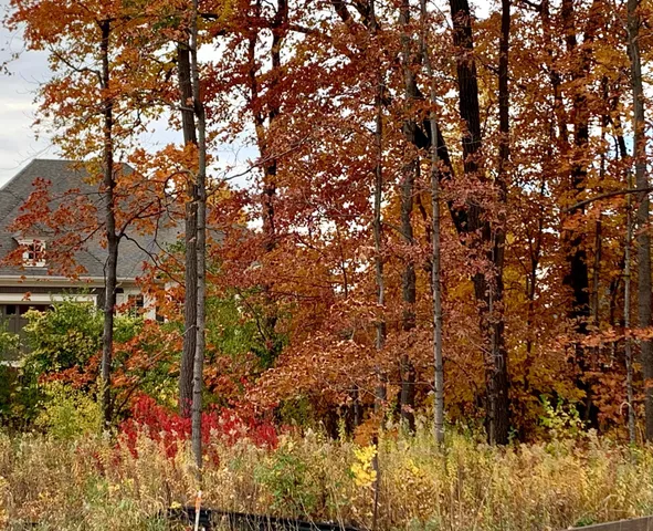 $304,900 | 701 Shawnee Woods Road, Medina, MN 55340