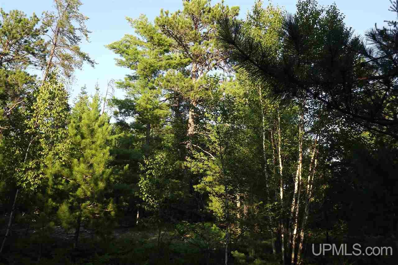 Tbd Rice Lake Road, Unit 77 & 78 Lake Linden, MI 49945 - Photo 3 of 11 Gallery Image 3