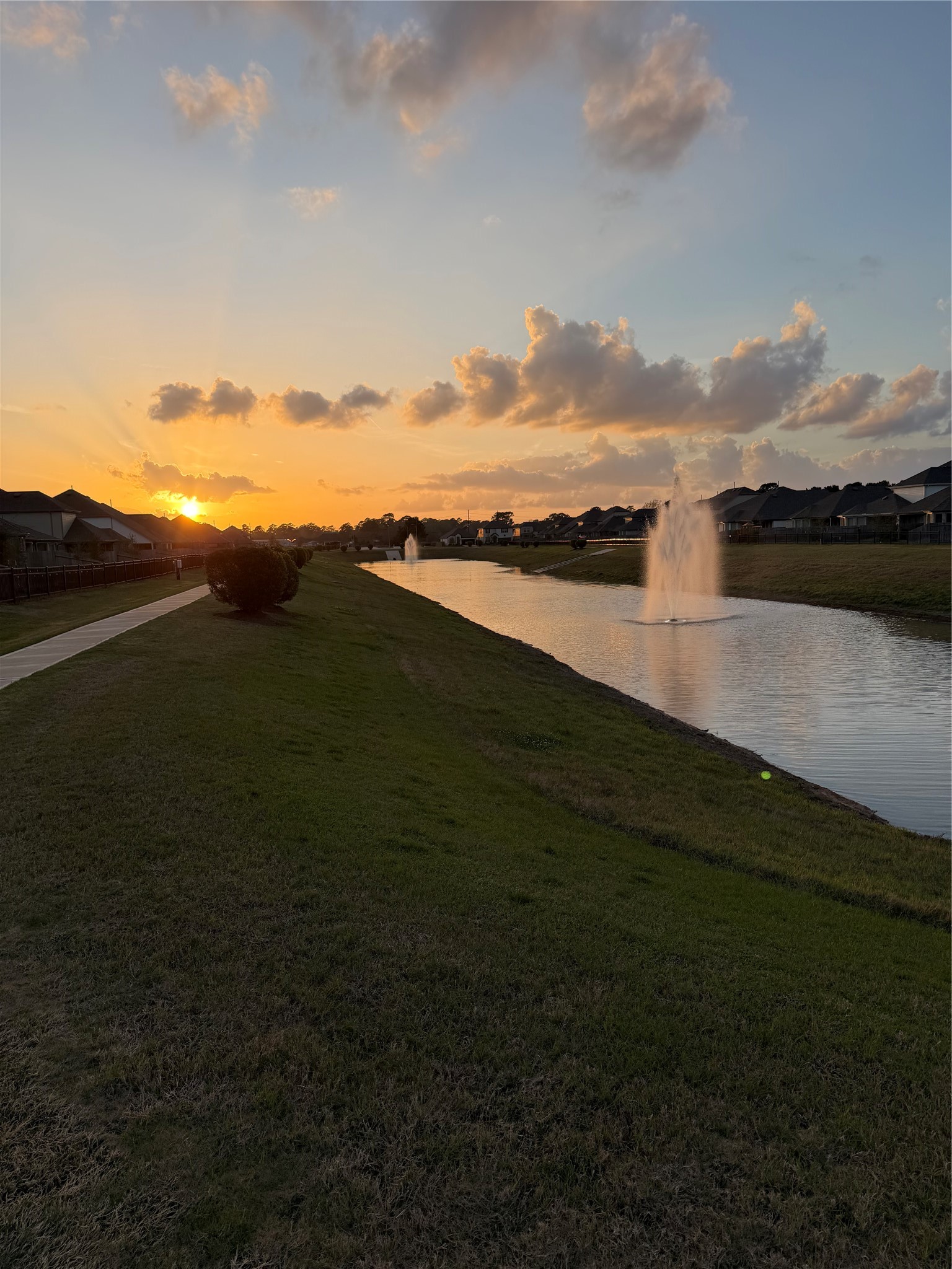 25832 Rugosa Drive Magnolia, TX 77355 - Photo 48 of 50