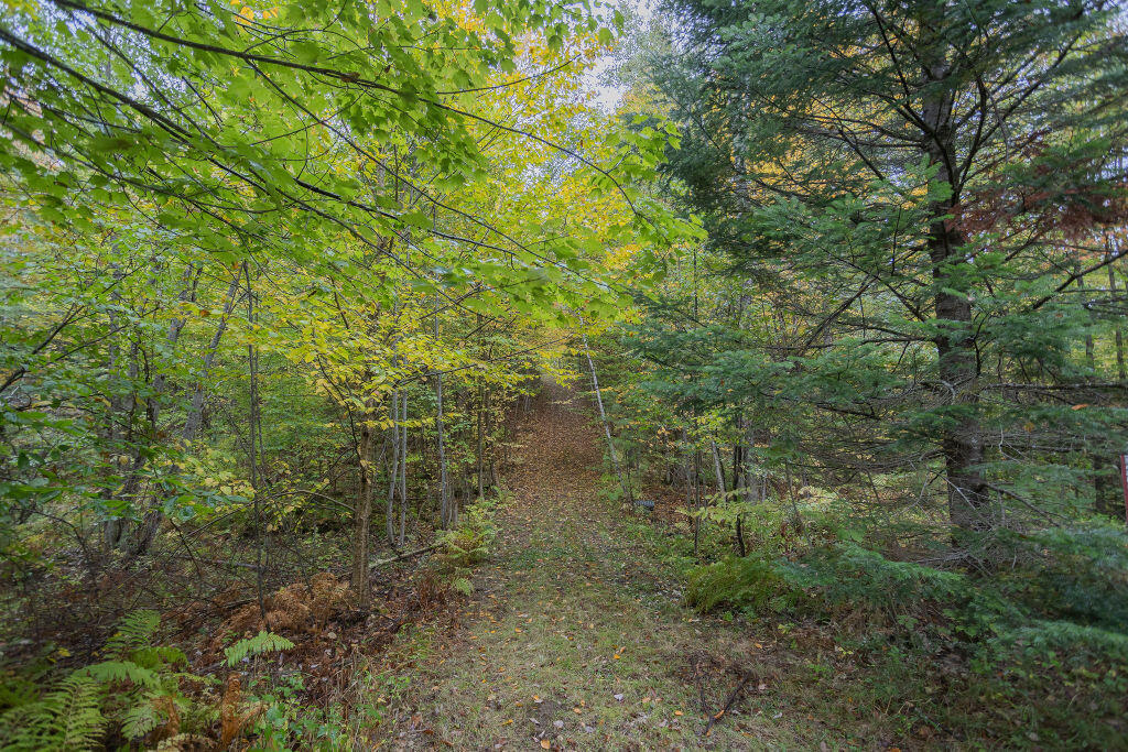 28 Pratt Road Wilton, ME 04294 - Photo 16 of 16 taylor-kaminsky-photo-13