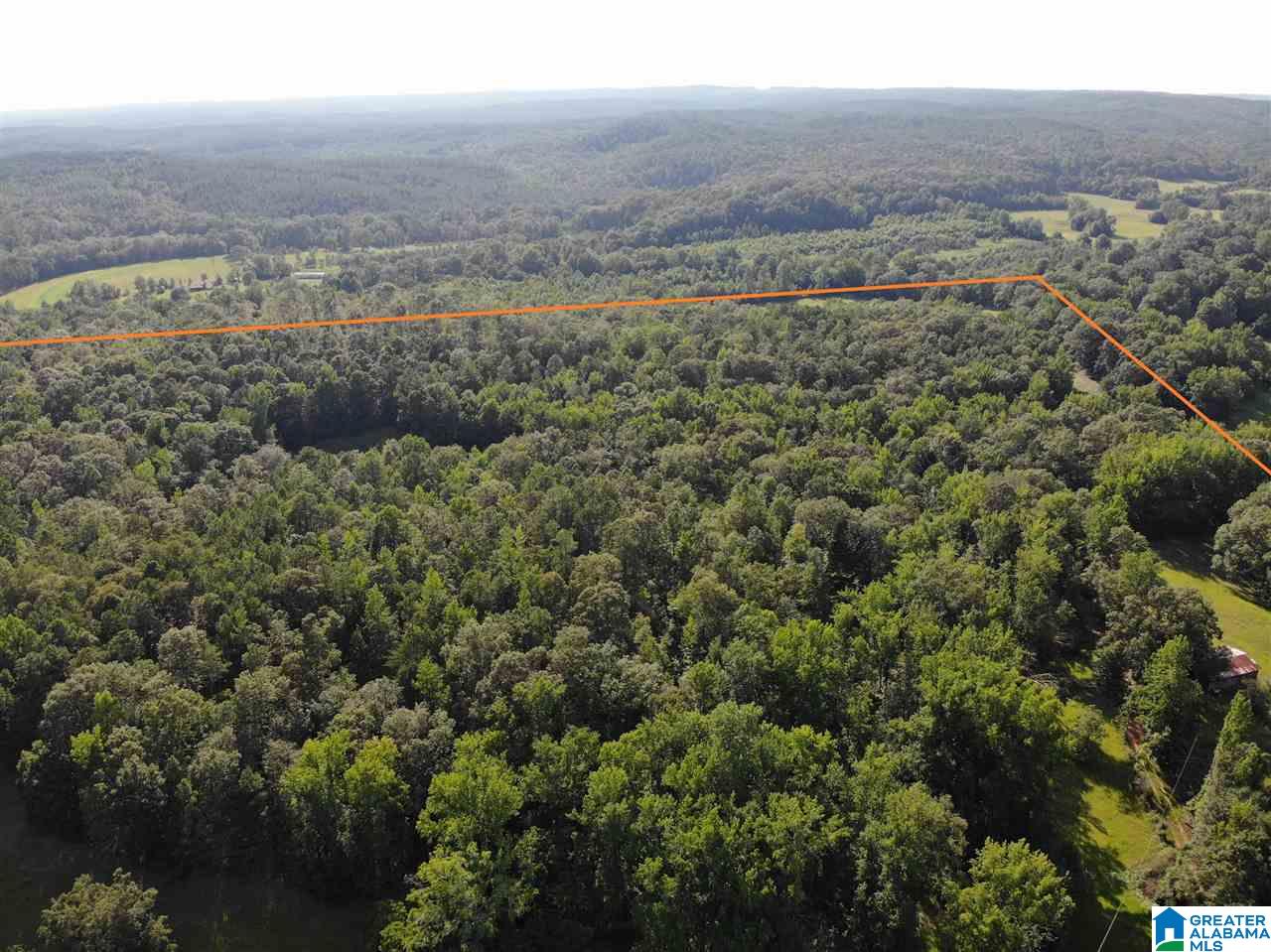 0 Antler Loop Rockford, AL 35136 - Photo 11 of 12