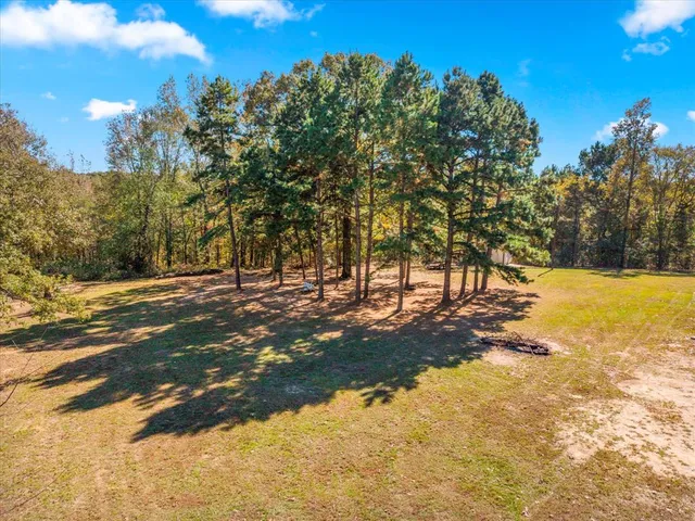 a view of a yard with trees