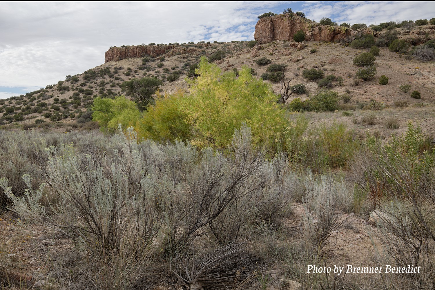 Pitchfork Pitchfork Ranch Silver City, NM 88061 - Photo 28 of 56
