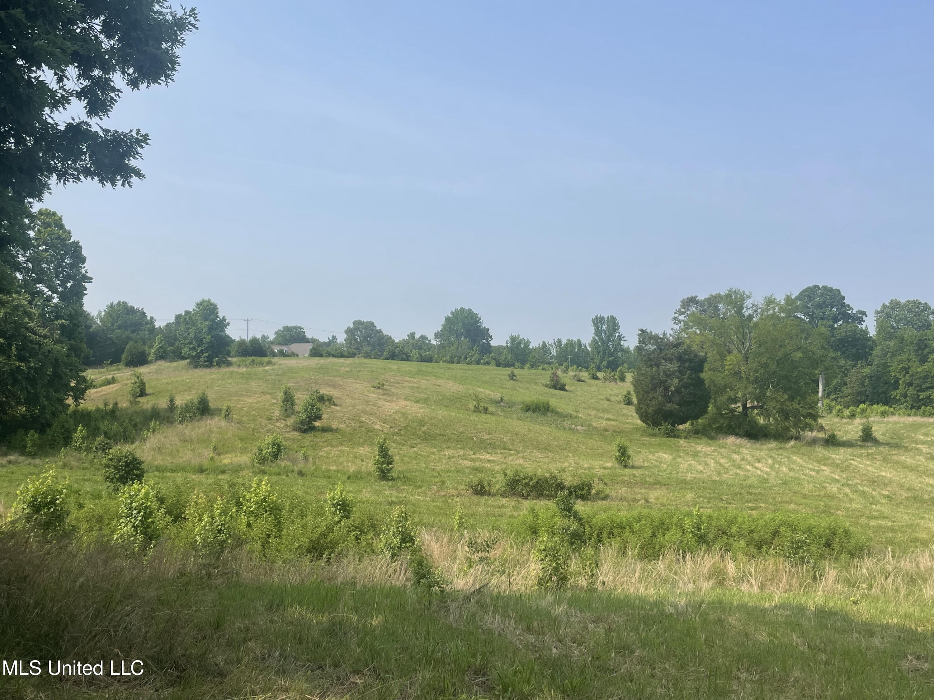 7 Ms Highway Holly Springs, MS 38635 - Photo 1 of 1 lot 7