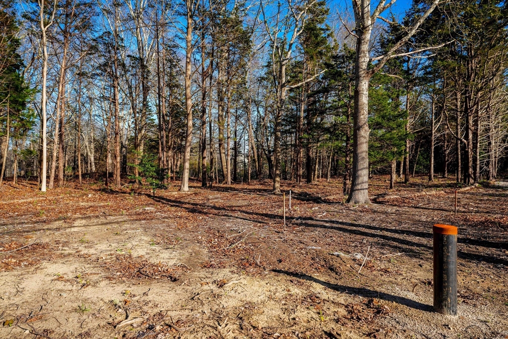 44 Old Harbor Road Westport, MA 02790 - Photo 9 of 26 a view of a park with trees
