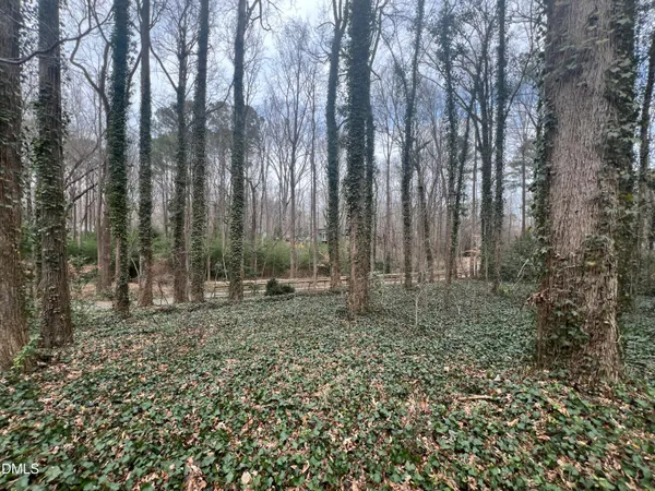 a view of a yard with trees in the background