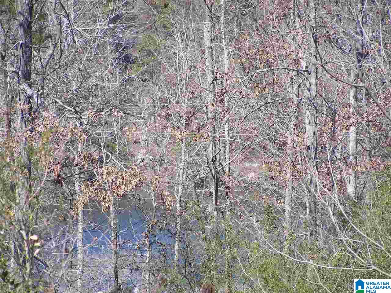75 Vista Drive Oneonta, AL 35121 - Photo 38 of 50