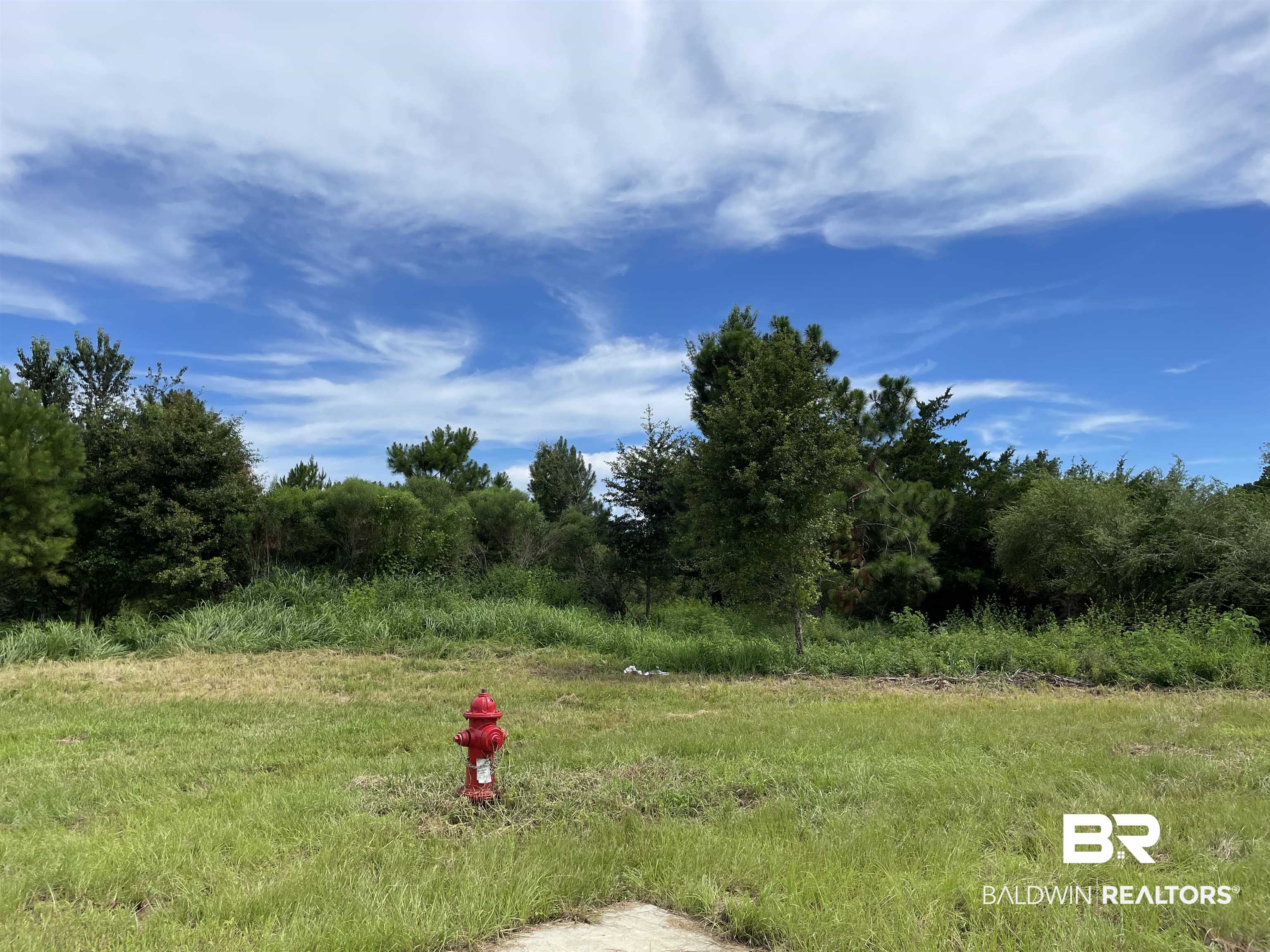 0 Makaira Drive Foley, AL 36535 - Photo 1 of 33