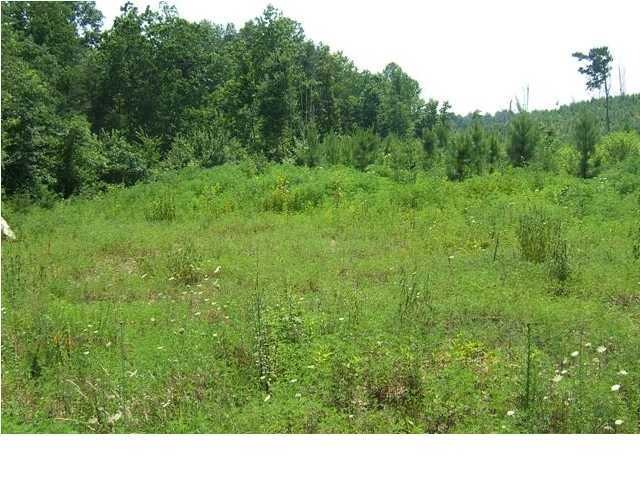 41 Jim Stewart Road Dunlap, TN 37327 - Photo 1 of 3 Primary Photo