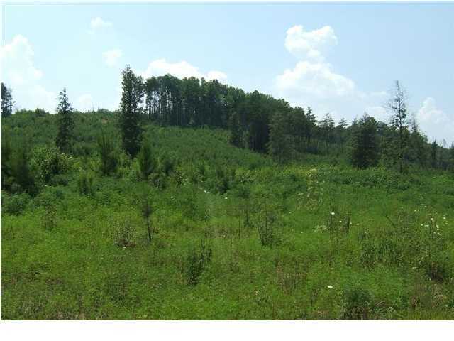 41 Jim Stewart Road Dunlap, TN 37327 - Photo 2 of 3 Additional Photo