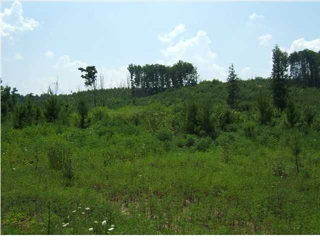 41 Jim Stewart Road Dunlap, TN 37327 - Photo 3 of 3 Additional Photo