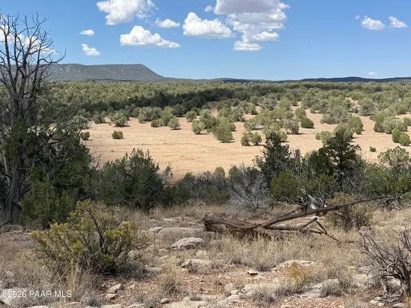 $24,000 | 56568 North Avenida Derecha, Seligman, AZ 86337