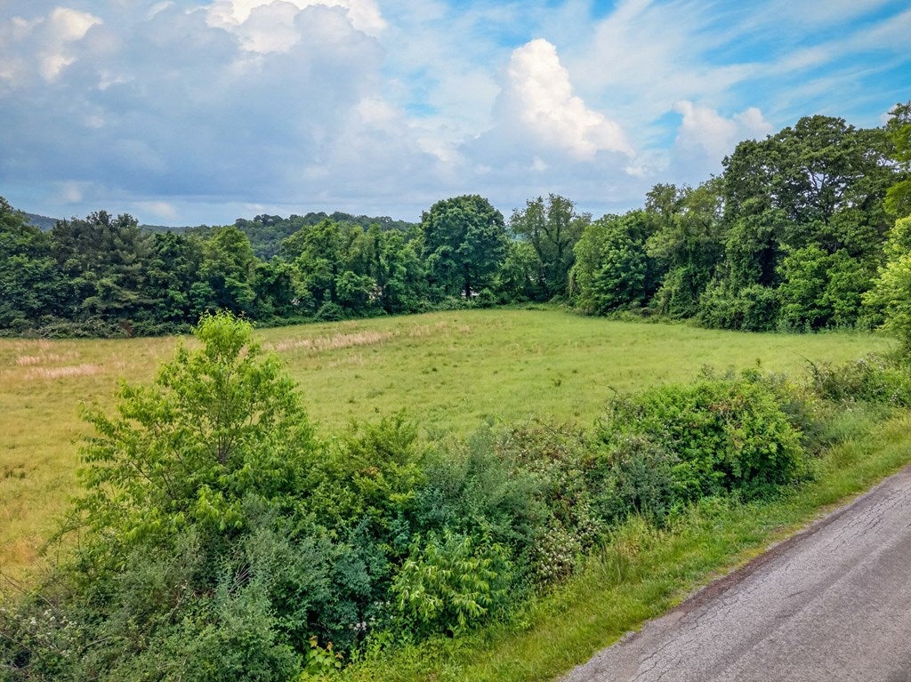 Lot 126 Rakestown Road, Unit 126 Ivanhoe, VA 24350 - Photo 6 of 12 Gallery Image 6