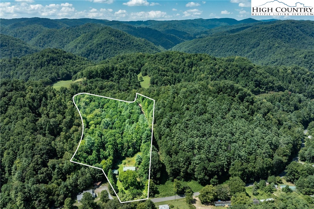 424 Poga Road Butler, TN 37640 - Photo 29 of 40 a view of a lush green forest with a street