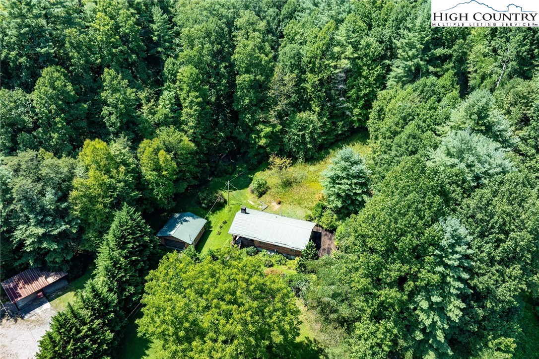 424 Poga Road Butler, TN 37640 - Photo 3 of 40 an view of a garden with a tree