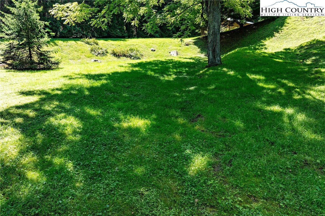 424 Poga Road Butler, TN 37640 - Photo 32 of 40 a view of yard with large trees