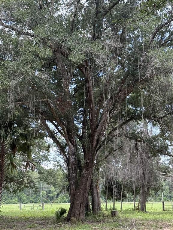620 Cochran Road Geneva, FL 32732 - Photo 9 of 11