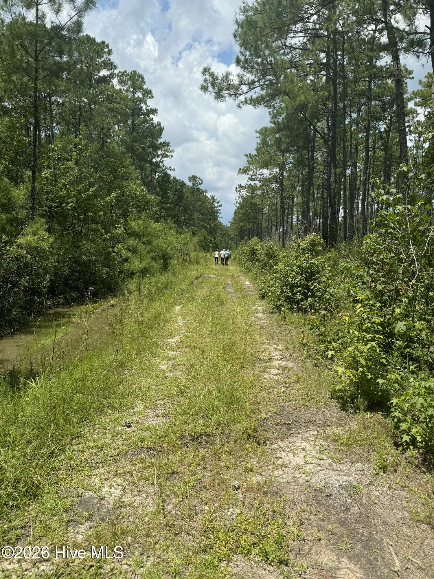0 Land Road Havelock, NC 28532 - Photo 2 of 3 IMG_20260114_194854