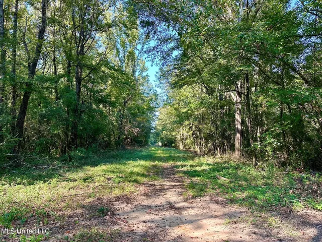 $39,500 | Tbd Northeast Tbd Ne Williams Street, Brookhaven, MS 39601