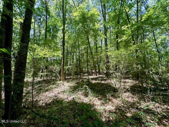 Tbd Northeast Tbd Ne Williams Street Brookhaven, MS 39601 - Photo 11 of 21 pic11