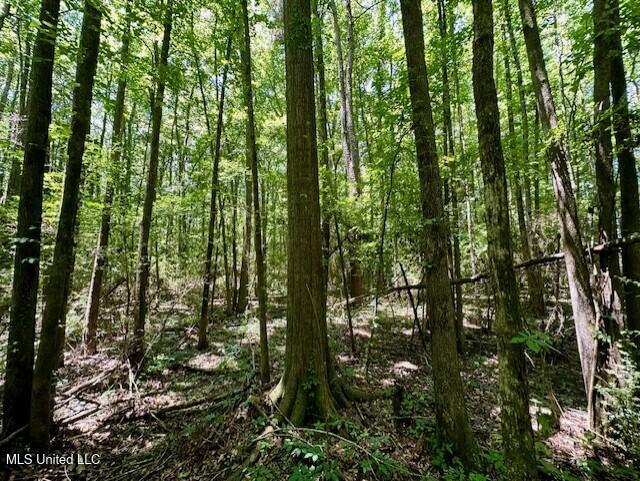 Tbd Northeast Tbd Ne Williams Street Brookhaven, MS 39601 - Photo 12 of 21 pic12