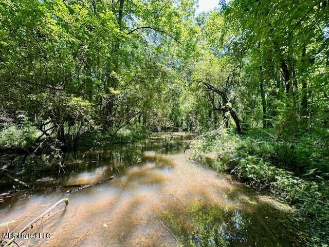 Tbd Northeast Tbd Ne Williams Street Brookhaven, MS 39601 - Photo 15 of 21 pic15