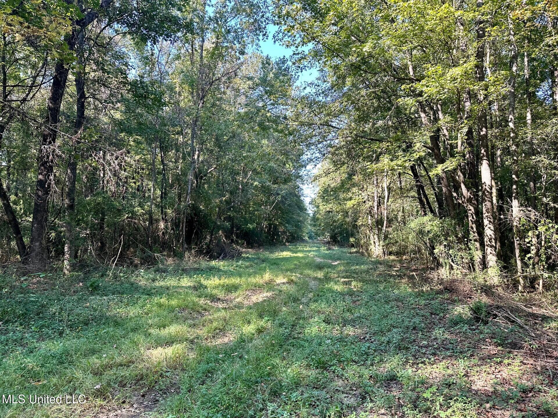 Tbd Northeast Tbd Ne Williams Street Brookhaven, MS 39601 - Photo 2 of 21 pic 3