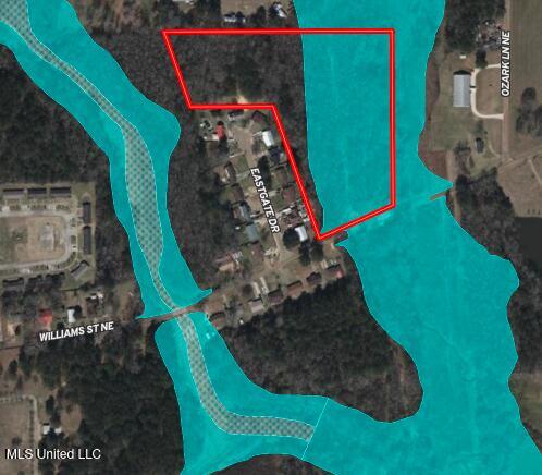 Tbd Northeast Tbd Ne Williams Street Brookhaven, MS 39601 - Photo 21 of 21 map6