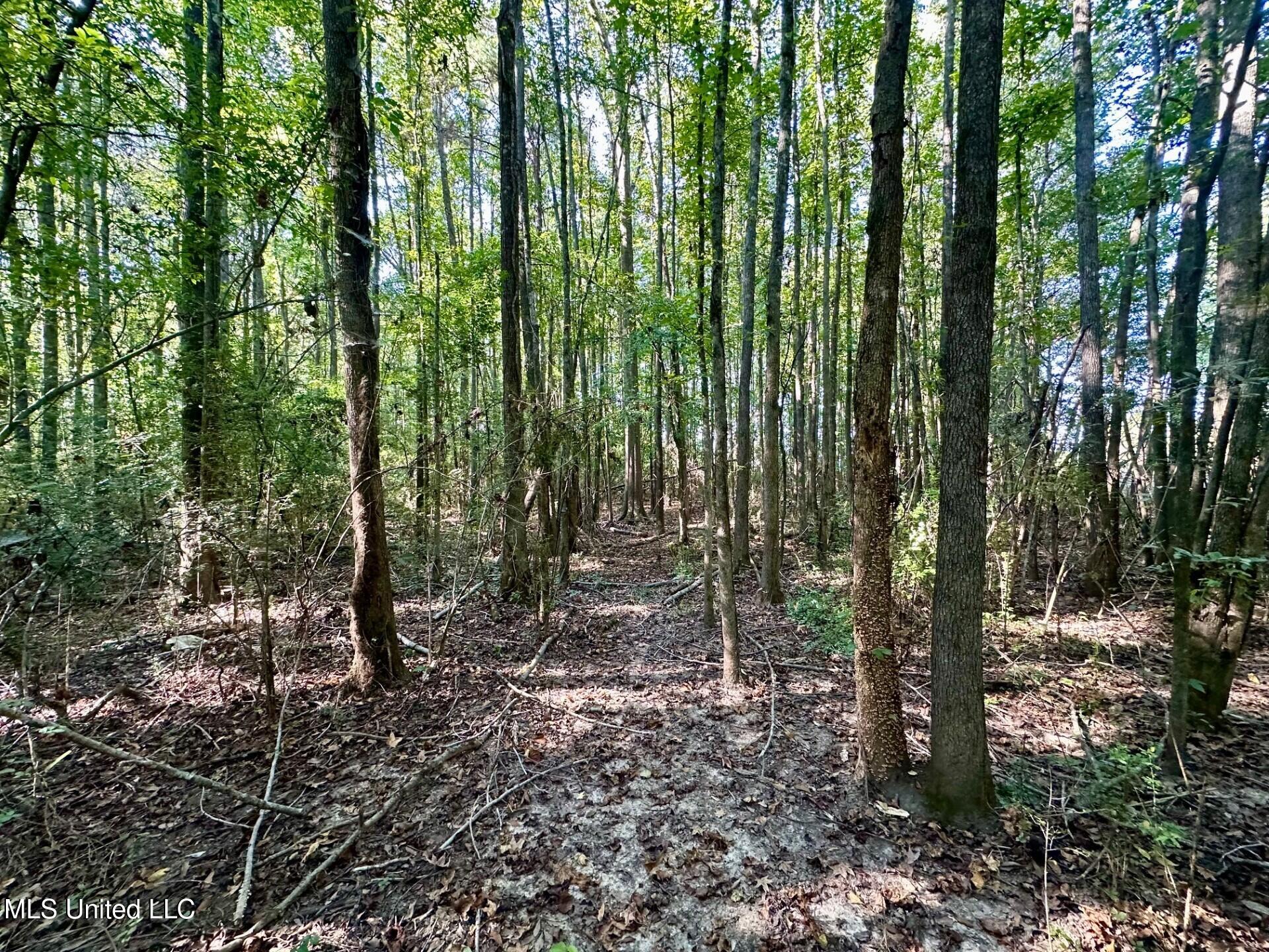 Tbd Northeast Tbd Ne Williams Street Brookhaven, MS 39601 - Photo 4 of 21 pic 1