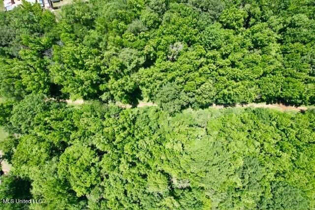 Tbd Northeast Tbd Ne Williams Street Brookhaven, MS 39601 - Photo 5 of 21 pic 5