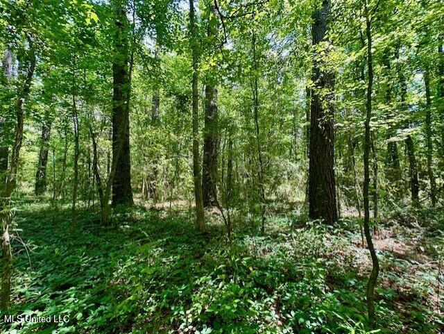 Tbd Northeast Tbd Ne Williams Street Brookhaven, MS 39601 - Photo 6 of 21 pic 6