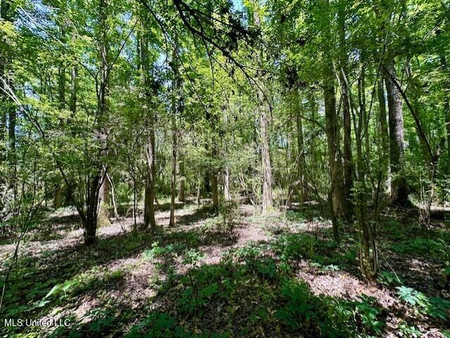 Tbd Northeast Tbd Ne Williams Street Brookhaven, MS 39601 - Photo 7 of 21 pic7